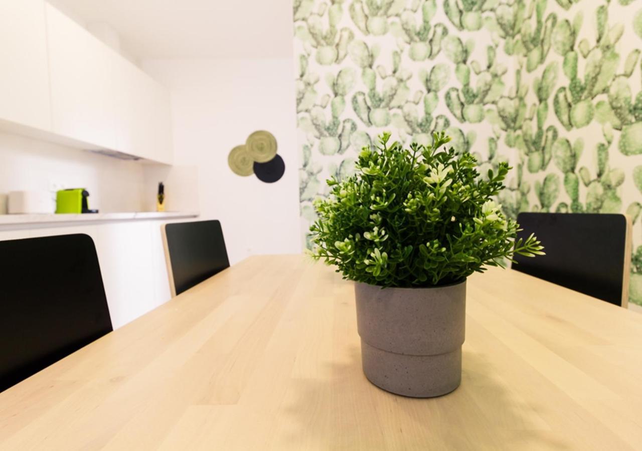 Moderno Apartamento Urbano En Barrio Historico 1ºi 圣克鲁斯-德特内里费 外观 照片